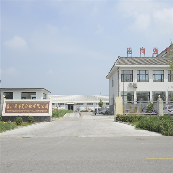 4008云顶集团复合肥厂区门口